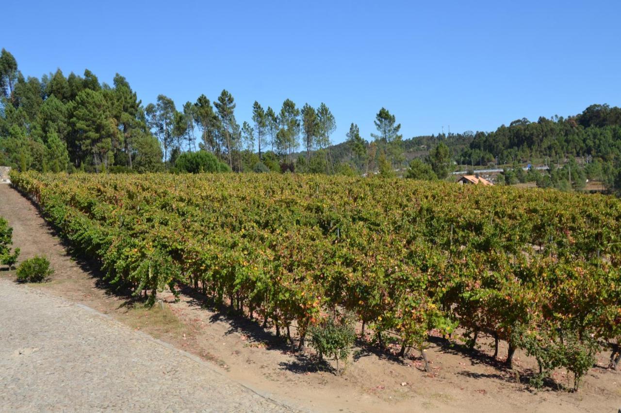 Quinta Do Medronheiro Hotel Rural Viseu Eksteriør bilde
